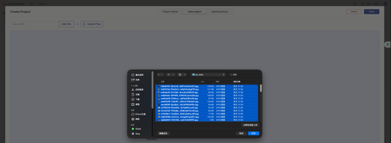在Data Import 中导入 cat_data 中已经准备好的图片数据