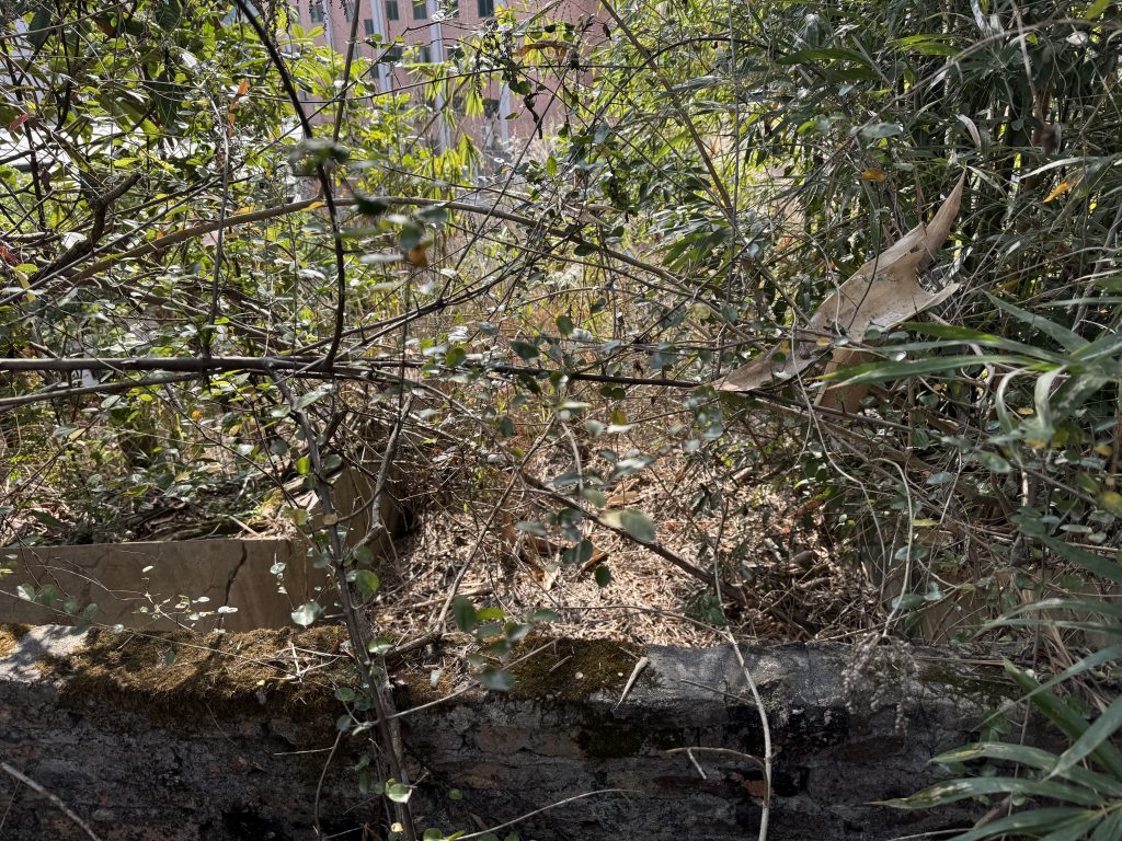 竹洋公学球场原入口(小学音乐教室处)