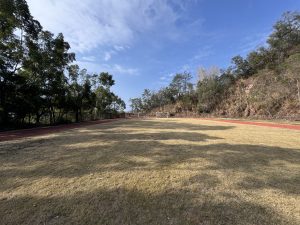 竹洋公学球场照片